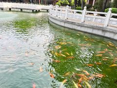 -广东圆玄道观