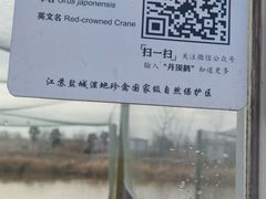 -盐城丹顶鹤湿地生态旅游区