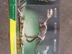 -自贡恐龙博物馆