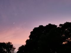 -淀里船宴(卓达店)