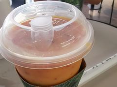 -野萃山·潮汕厚果汁(十亩地店)