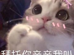 -清真·艾美可餐厅(大悦汇店)