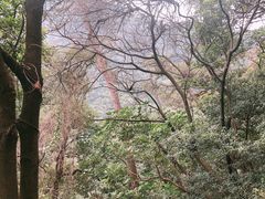 -太和古洞