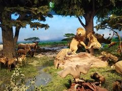 -国家自然博物馆