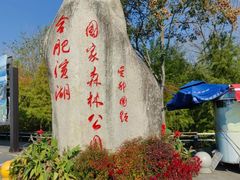 -合肥滨湖国家森林公园