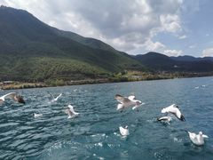 -泸沽湖国家级风景名胜区走婚桥