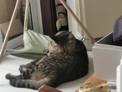 -龟与熊猫宠物公园(南坪店)