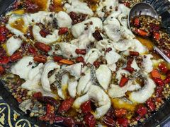 -金三可市井水煮鱼(金碧园店)