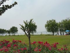 -漕湖湿地公园