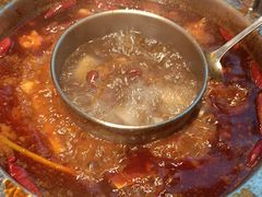 -晓宇重庆火锅(赛格国际购物中心店)