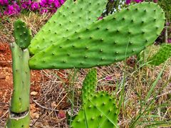 -于家石头村景区