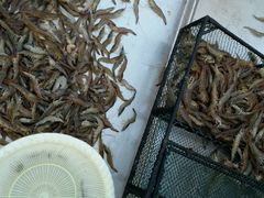 -佶政筋饼·新概念(安阳路店)