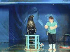 -苏州海洋馆