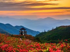 -大围山国家森林公园