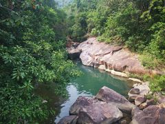 -广州白江湖森林公园