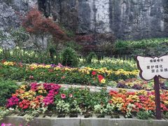 -沁园(南坪上海城店)