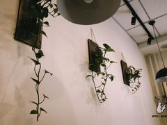 -醉牛腩·面小馆