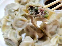 猪肉茴香饺子-王记手工水饺(和平里西街店)