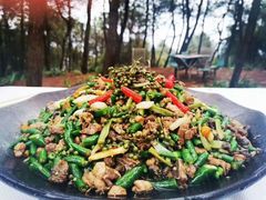 -铁山坪森林公园