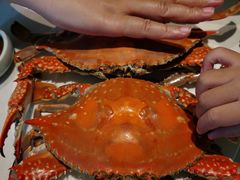 清蒸梭蟹-开海·红岛海鲜虾水饺(石老人店)