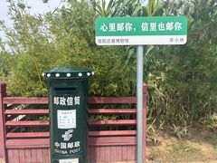 -洛阳古墓博物馆