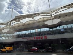 -龙阳路磁悬浮列车总站-停车场