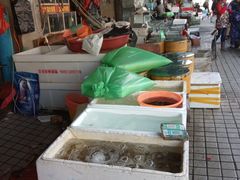 -江杨农产品批发市场