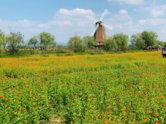 -漩门湾国家湿地公园