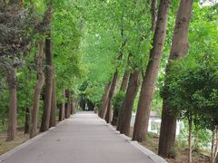 -同里国家湿地公园