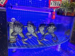 -亿牌牌东北烧烤(博物馆旗舰店)