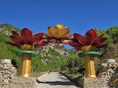 -大连天门山国家森林公园