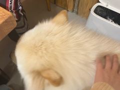 -肆兮眼镜·蔡司·徕卡战略合作店(大坪店)
