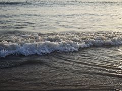 -螺洲公园