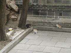 -四门塔风景区