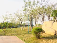 -鹦鹉寺公园