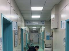 -北京观赏动物医院·24小时大型综合·猫专科·异宠专科