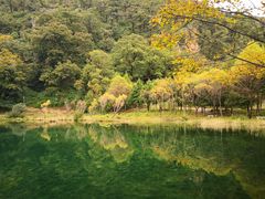 -玉水寨丽江源餐厅