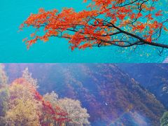 -叠溪松坪沟景区