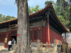 -潭柘寺景区