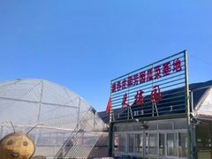 -庞各庄翠芳园西瓜蔬菜基地采摘园