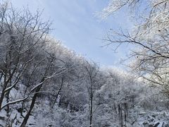 -洛阳白云山景区