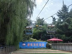 -富斯特索道