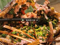 -多哥水傣味餐厅(司马巷店)