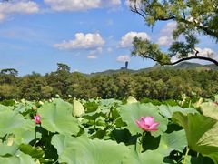 -承德避暑山庄景区