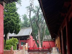 -韩城古城