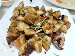 -金春禧(世茂国际广场店)