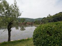 -龙寺生态园