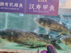 -鱼你相聚·河鲜馆(袁家岭店)