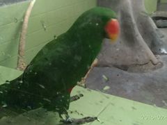 -石家庄市动物园