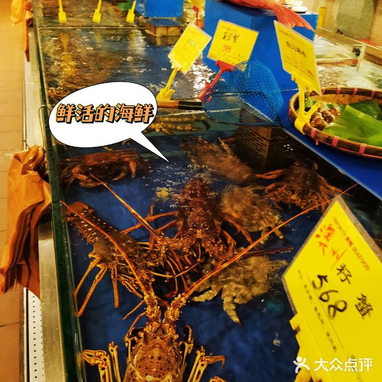 火爆京城的广式大排档！肥福排档，人均200实现鱼翅自由啦！